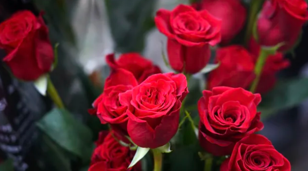 8 март е Международният ден на жената Това е ден