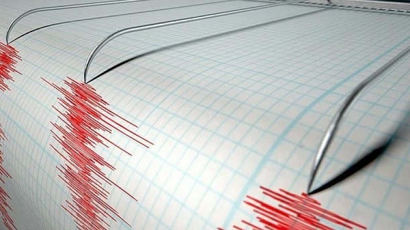 Земетресение с магнитуд 4 3 е регистрирано в 23 30