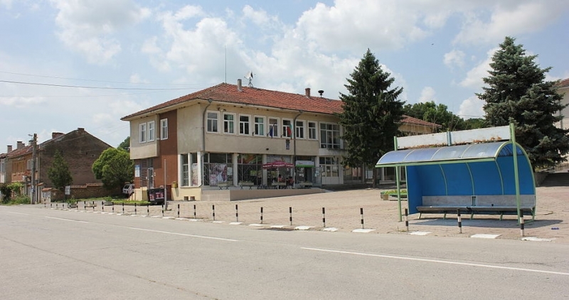 Процентът на децата с увреждания при ромите в Мечка е