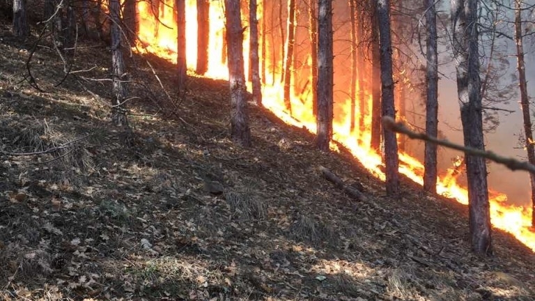 От 3 страни е ограничен пожарът при село Маточина в