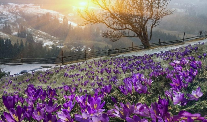 Днес валежите ще спират и облачността ще се разкъсва и