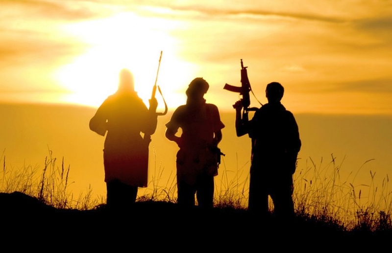 Екипи на Анкарската полиция задържаха днес 12 предполагаеми членове на