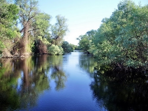 Първо в BulNews! Криминалисти пътуват към врачанско село заради намерен труп на човек