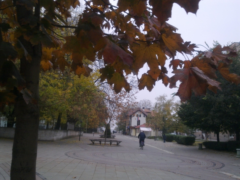 300 безработни ще полагат през 2019 г обществено полезен труд