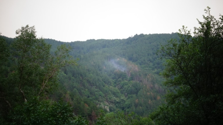 Полицията в Смолян издирва едновременно двама възрастни мъже изчезнали безследно