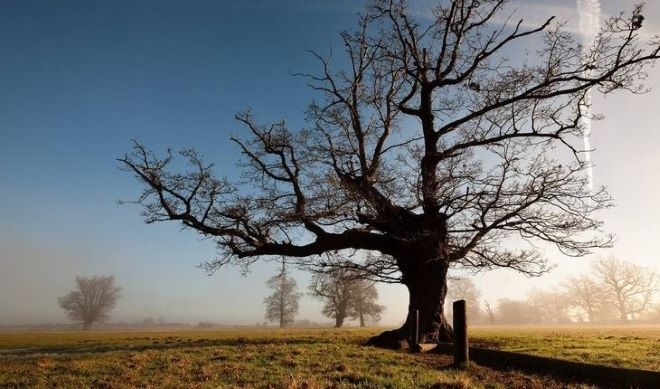 Преди обяд над Западна България ще е предимно слънчево но облачността