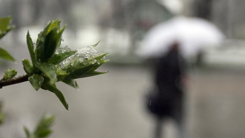 Днес времето ще се задържи предимно облачно и на отделни
