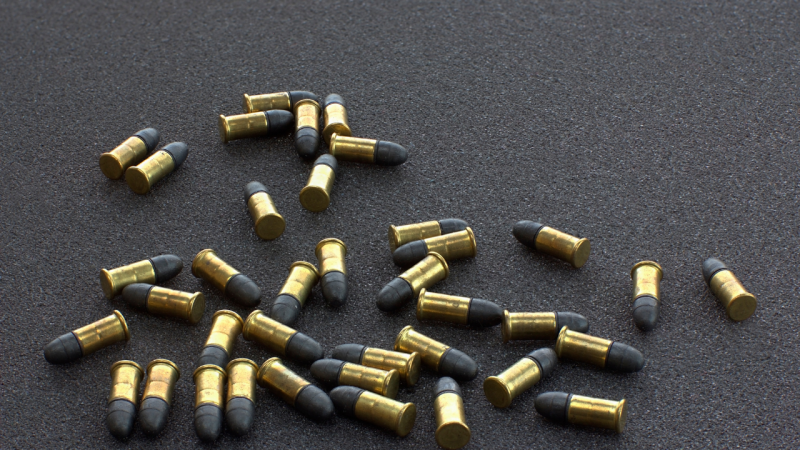 Намерени са гилзи от ловна карабина на територията на България