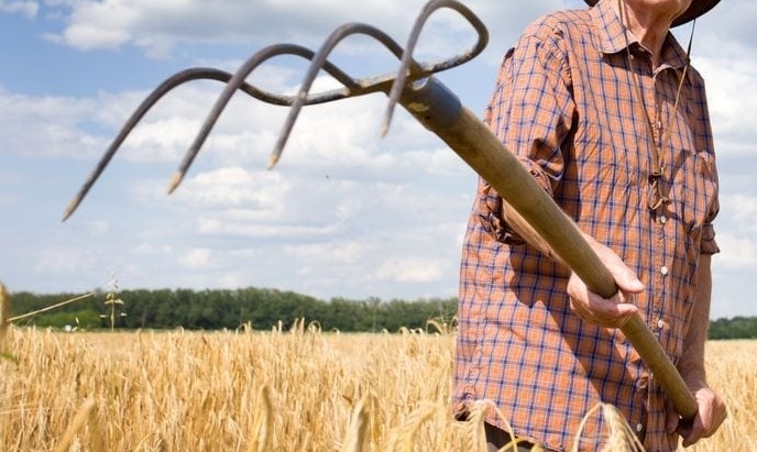 Див екшън се е разиграл във Видинско вчера научи BulNews bg