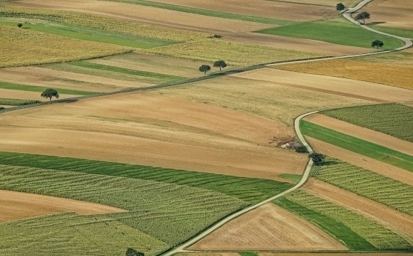 Най-големият собственик на земеделска земя в България - „Ставен“ АД,