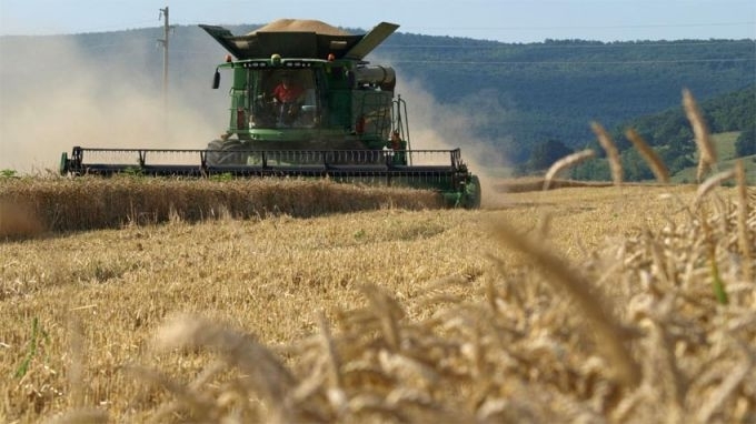 Справката за жътва площи с пролетници и проведени мероприятия на