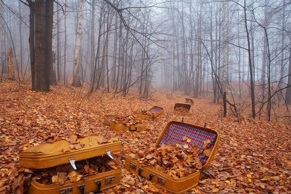 В сутрешните часове на отделни места в равнините и низините