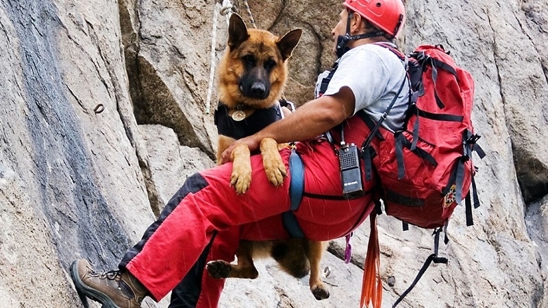 БЧК: Зачестяват тежките инциденти в планините