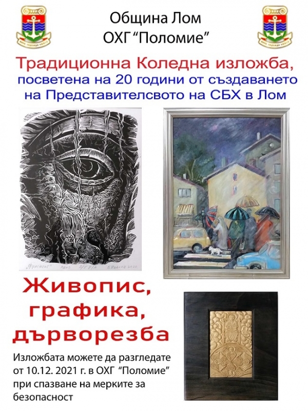 Подредиха коледна изложба в Лом