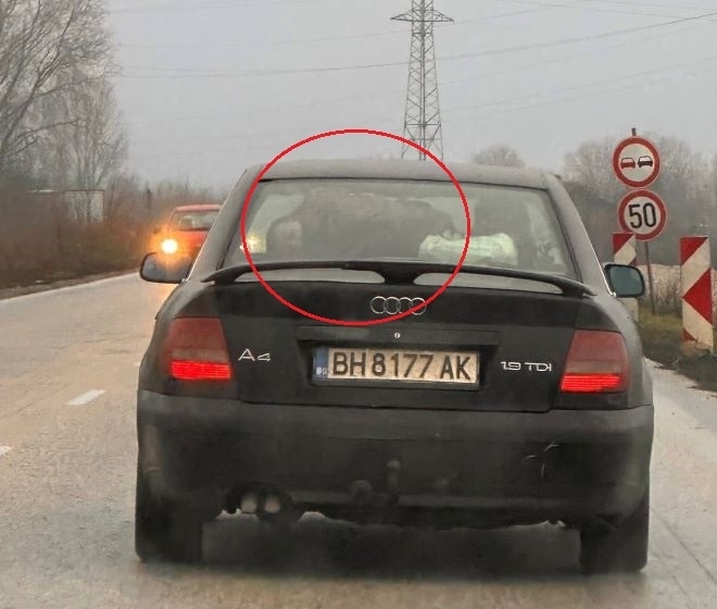 Дете се вози по опасен начин в кола във Видин