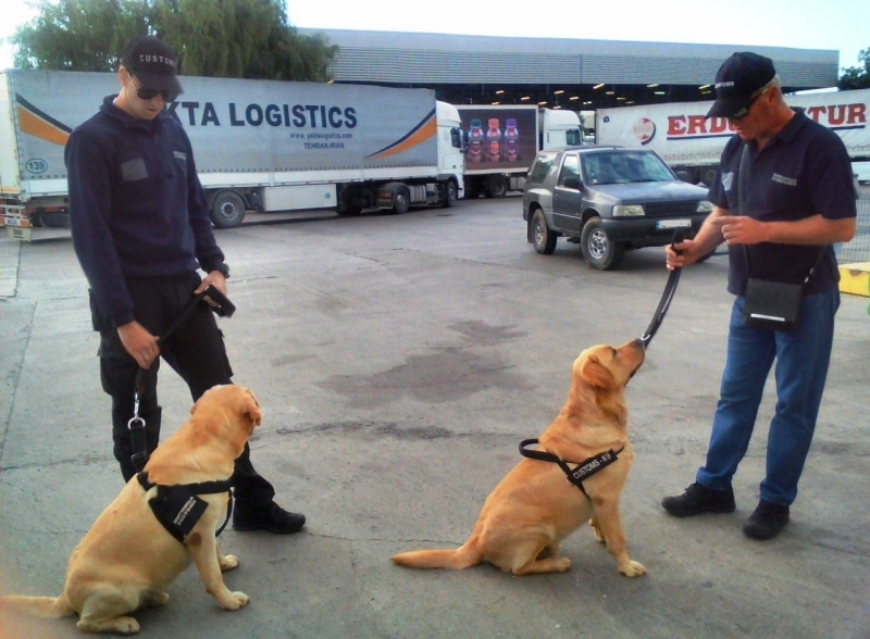Две нови митнически кучета ще се включат в борбата с
