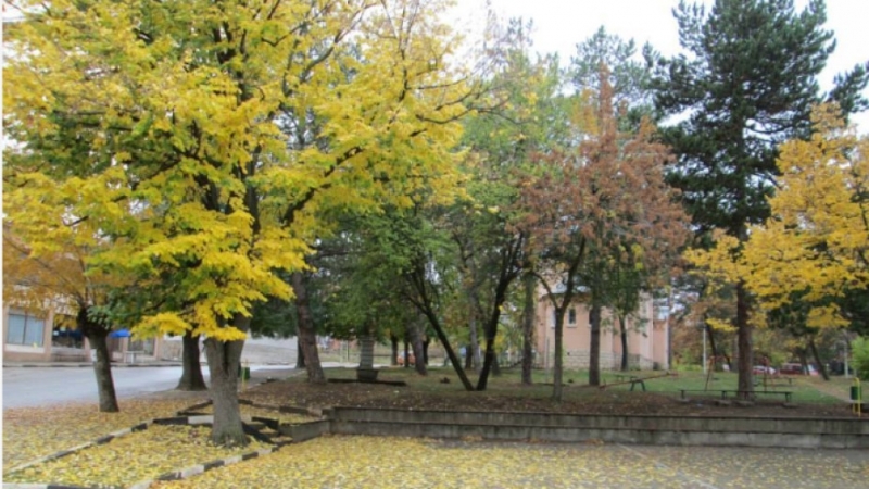 Тази вечер в мездренските села Типченица и Долна Кремена ще