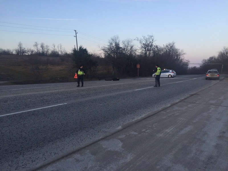 Осъдиха условно шофьора отнел живота на двама пешеходци в местността