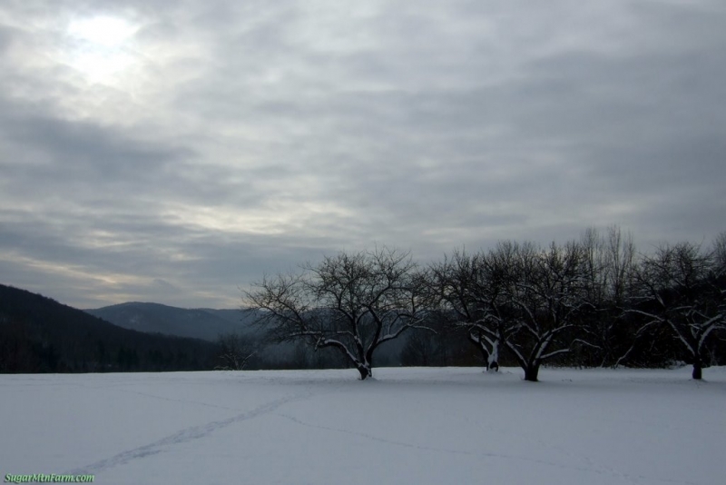 Oблачно време с температури до 10 градуса ни чака днес