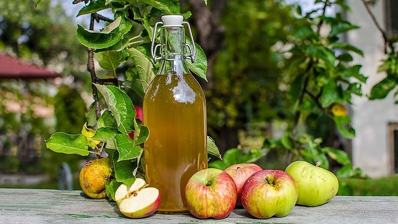 Ябълковият оцет се използва широко не само в ежедневието за