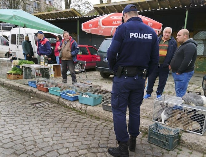 При полицейска спецакция на пазара в Криводол бе спипан контрабандист
