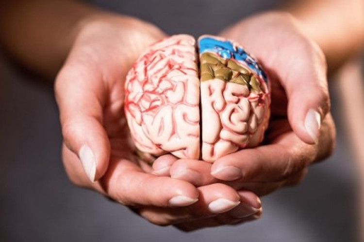 Витамин В12 е основен градивен елемент който помага на тялото