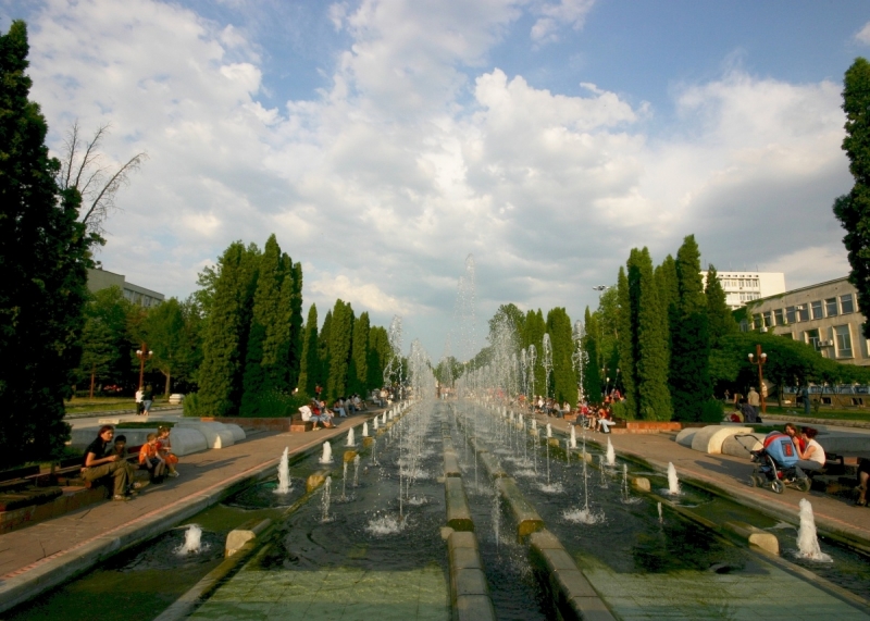 Общинският съветник от Монтана д р Люзмил Антов поиска да бъде