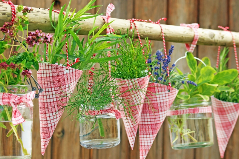 Регионална инспекция по околната среда и водите в Монтана обяви