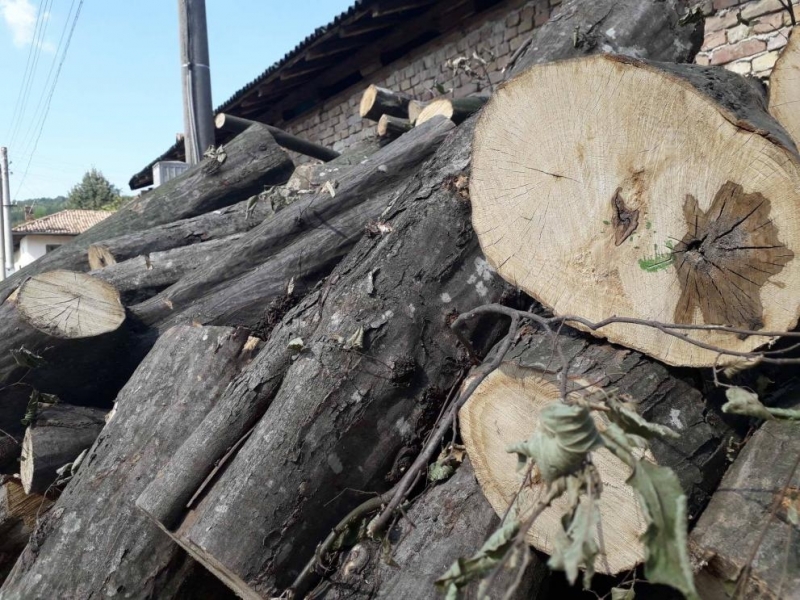 Заловени нелегални дърва са били конфискувани от униформени служители информираха