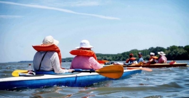 Най голямата туристическа дунавска регата ТИД 2022 след борени дни ще