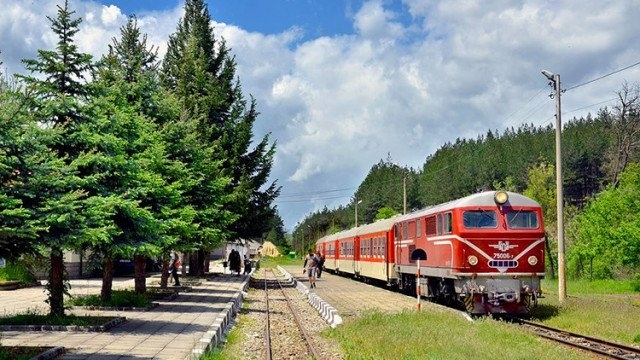 Родопската теснолинейка се е ударила в лек автомобил Катастрофата е