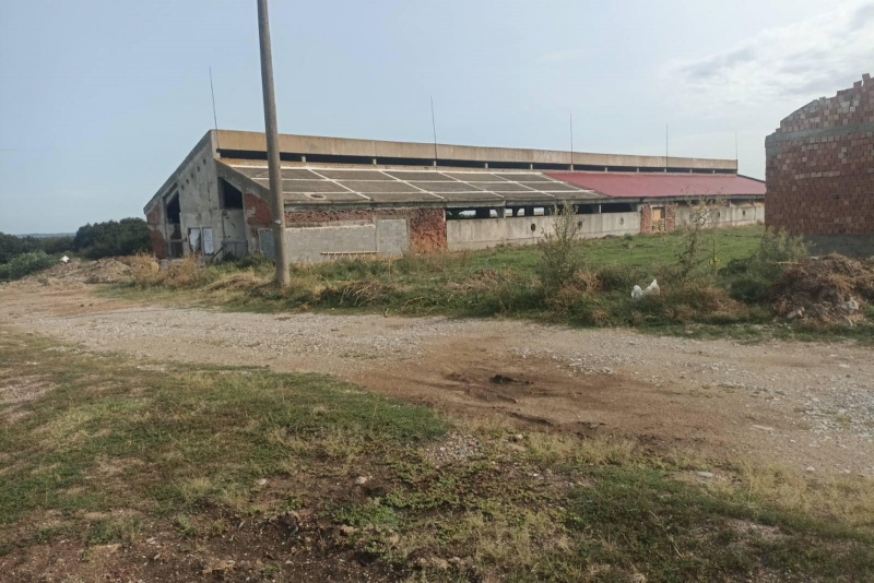 Жена от Видинско изрева от нагъл германец самонастанил се в