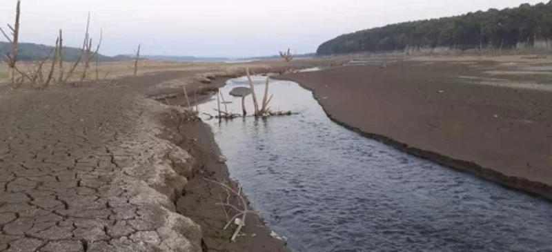 Снимките които са заснети в България предизвикаха шок в социалните