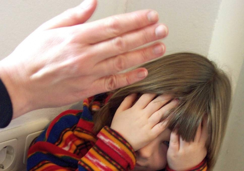 Кандидати за професионално приемно семейство от Враца са били категорично