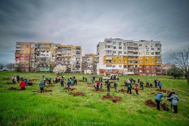 Предстои засаждането на още дървета и храсти в кварталите на