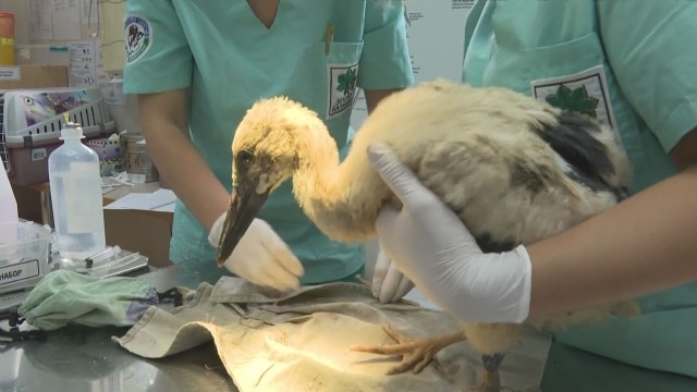 Експерти от РИОСВ Враца извършиха незабавна проверка по сигнал