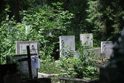 Пожар е горял на гробищата в Берковица, съобщиха от пресцентъра
