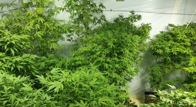 Окръжен съд Монтана определи мярка за неотклонение парична гаранция в