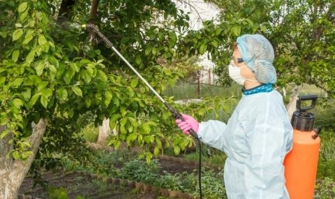 Македония отново ще изнася плодове за Русия