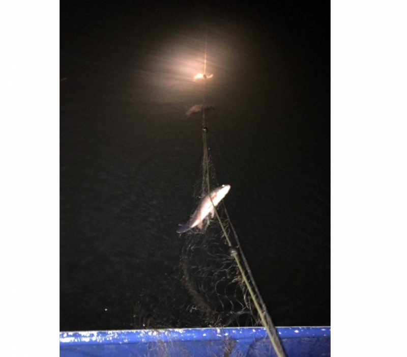 След получен сигнал от любители риболовци за поставени хрилни мрежи