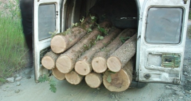 Два товарни автомобила Мерцедес с незаконни дърва са били конфискувани