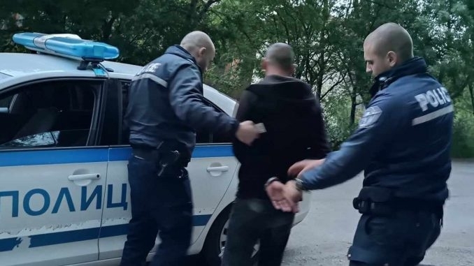 След месец: Полицаи разкриха кражба на портмоне от кола в Лом