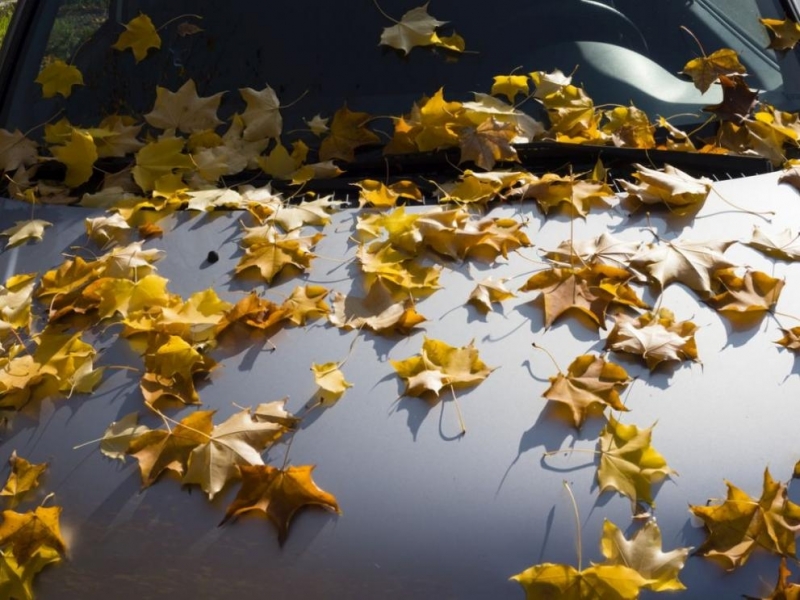 Днес на отделни места ще има слаби валежи от дъжд