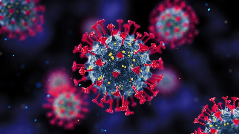 376 са новозаразените с COVID 19 у нас за денонощието 9