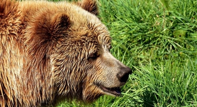 Румънец е настанен в болница след като бил нападнат от