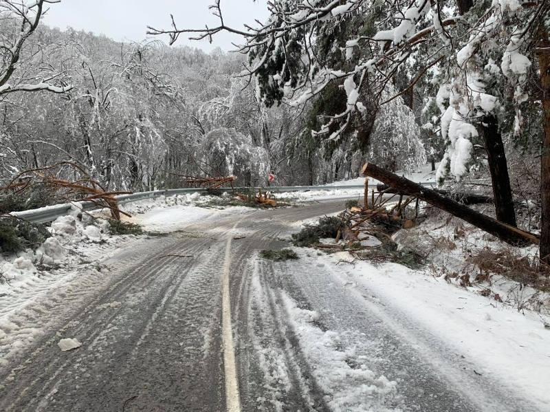 През изминалото денонощие пътната мрежа във Враца е обработена против