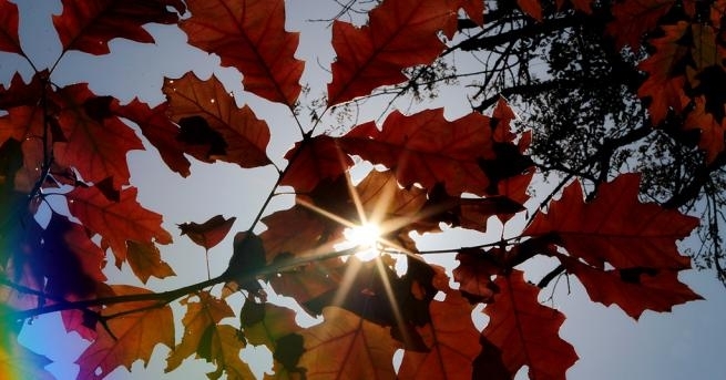 През нощта над по голямата част от страната ще е предимно