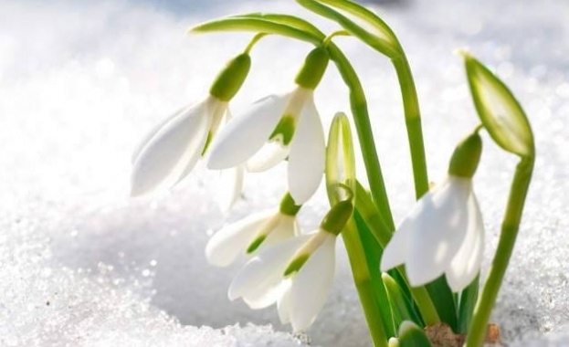 Облачността ще се вплътнява и през по голямата част от деня