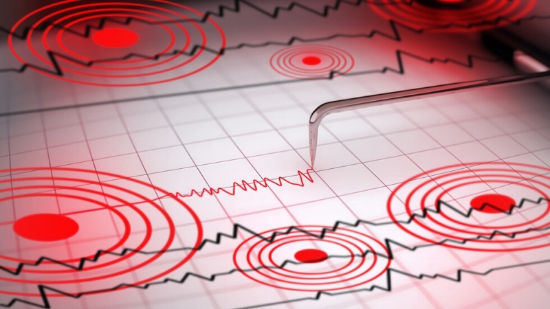 Земетресение с магнитуд 4 2 бе регистрирано днес сутринта в 6 19