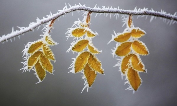 Oблачността през следващото денонощие ще е значителна и на много
